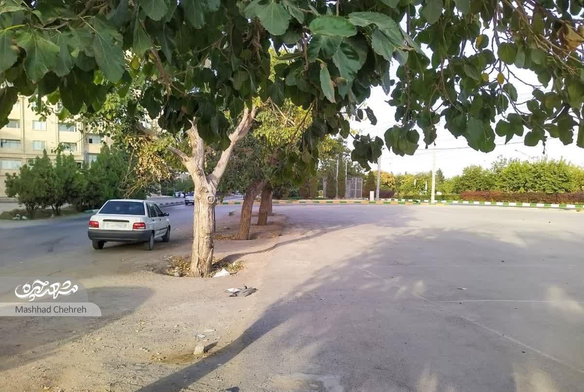 کوچه درمانگاه تامین اجتماعی در محله حسینآباد کوچه درمانگاه تامین اجتماعی در محله حسینآباد