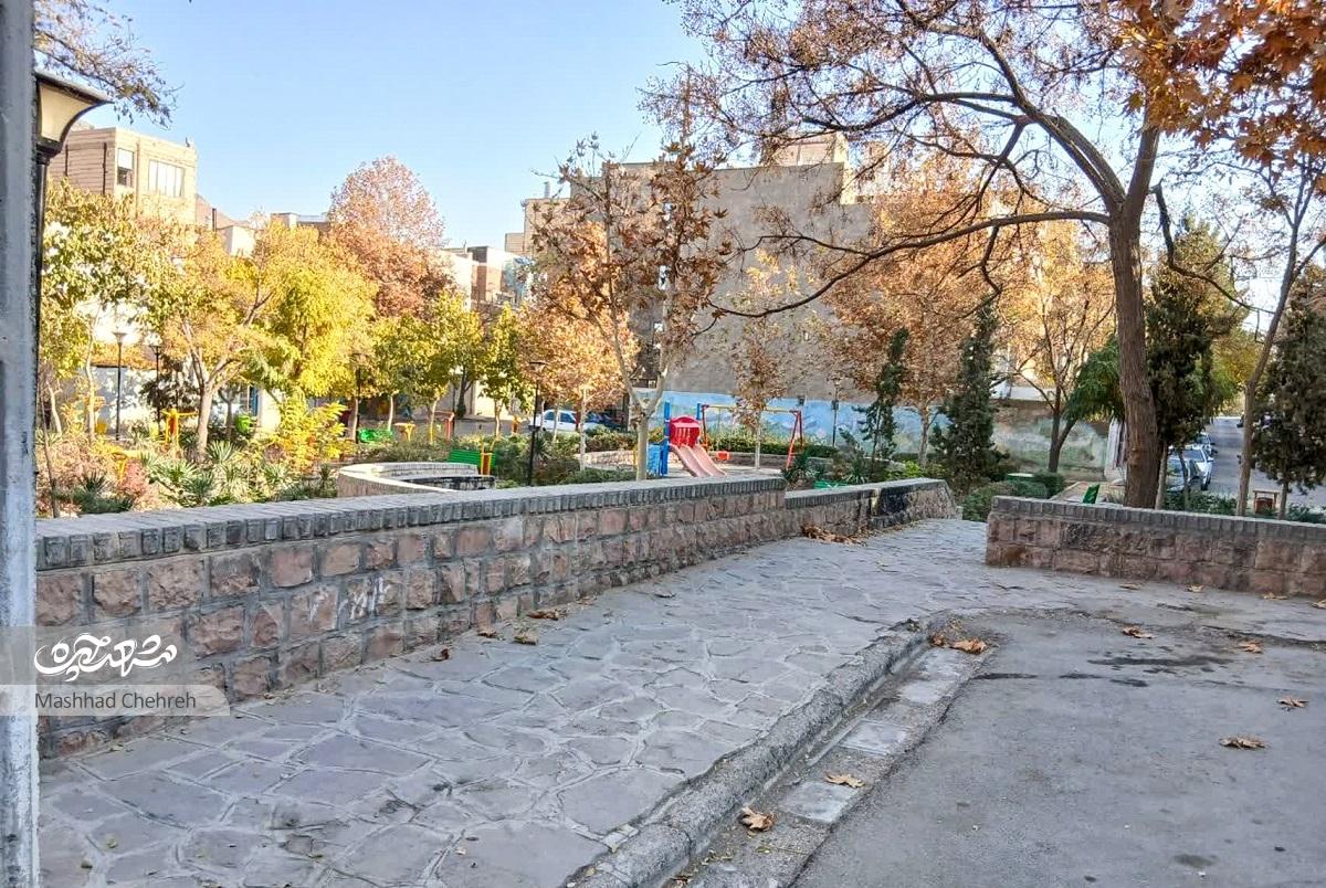 رنگوبوی پهلوانی در «زیتون» رنگوبوی پهلوانی در «زیتون»