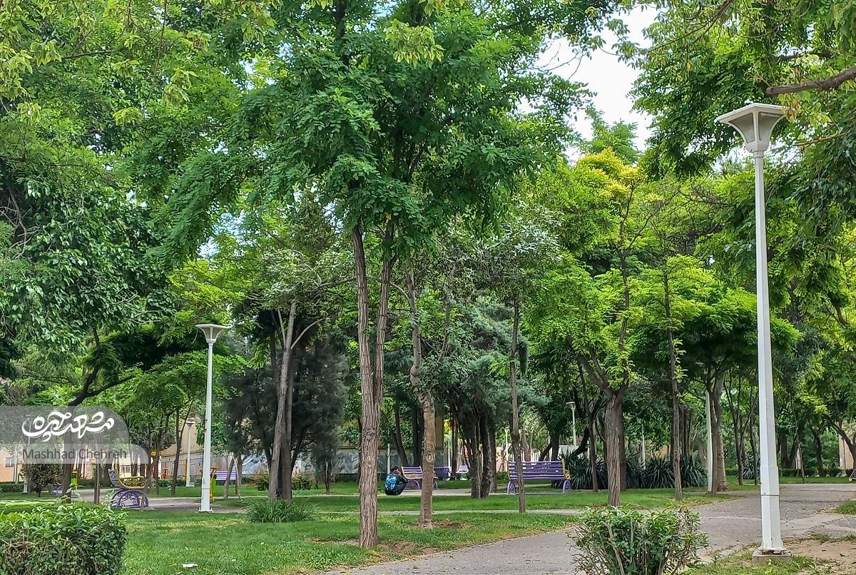 قدمت باصفای کوچه‌ای در مهرمادر