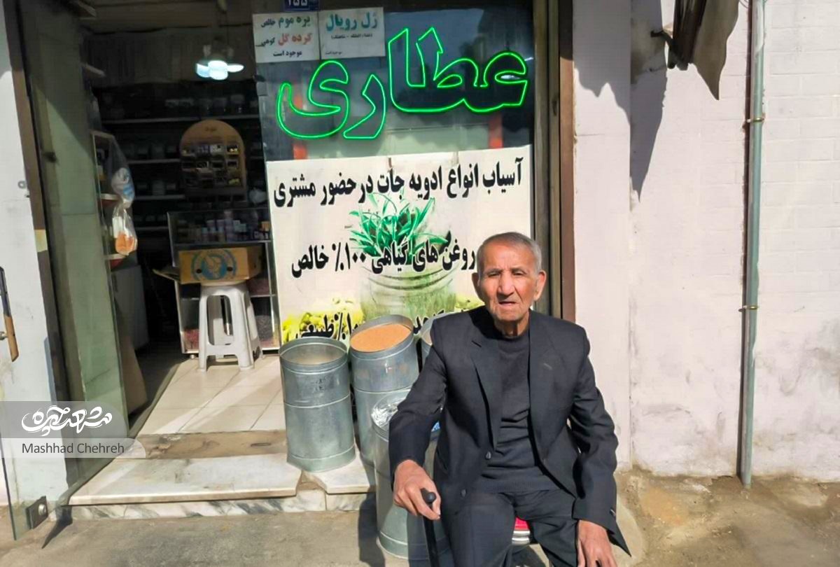 کوچه صدف ۱۷؛ یادگار سبز گذشته کوچه صدف ۱۷؛ یادگار سبز گذشته