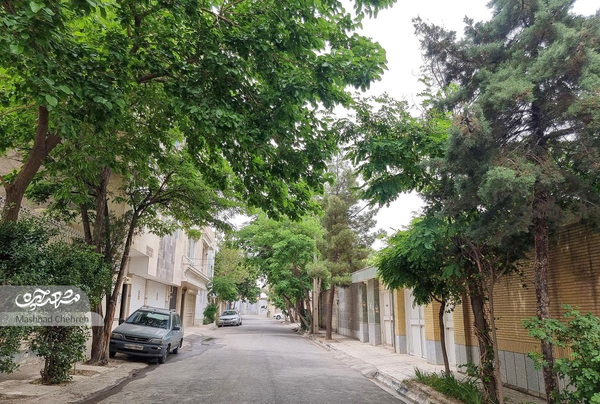 میراث حاجی زرگر برای دانشآموزان میراث حاجی زرگر برای دانشآموزان