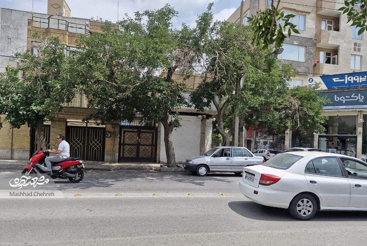 کودکی رامین شاهین‌فر در دهه ۶۰ با محله هفده‌شهریور گره خورده است