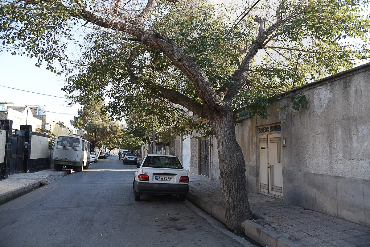 محله رضائیه