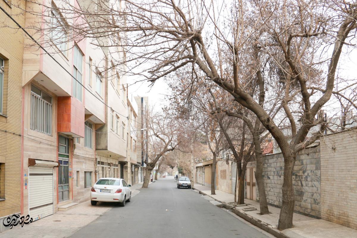 محله کوی پلیس