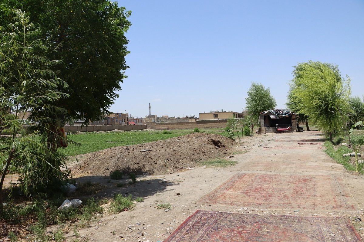 محله دروی