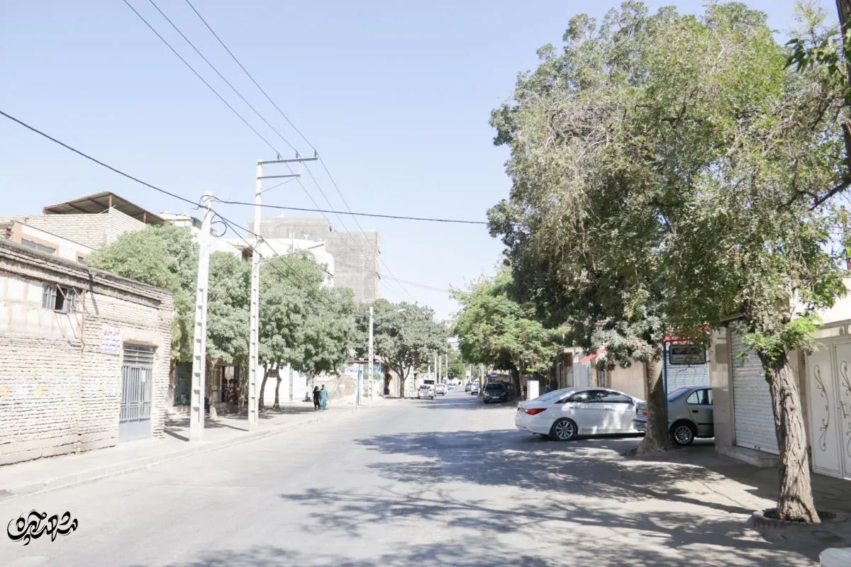 خیابان ولیعصر طرق