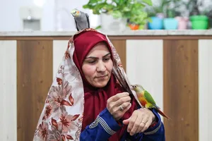 زندگی با مرغ عشق‌ها