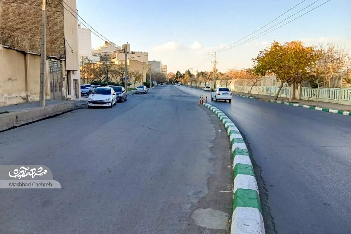 باغبانی همسایه‌ها در یک معبر
