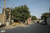 کوچه باغ&zwnj;ویلاهای کلاته برفی