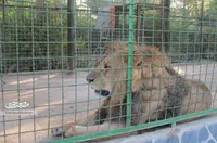 باغ‌وحش، جاذبه‌ پرمشکل مشهد