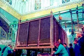ضریح جواهر، یادگار نادر در حرم مطهر امام رضا(ع)