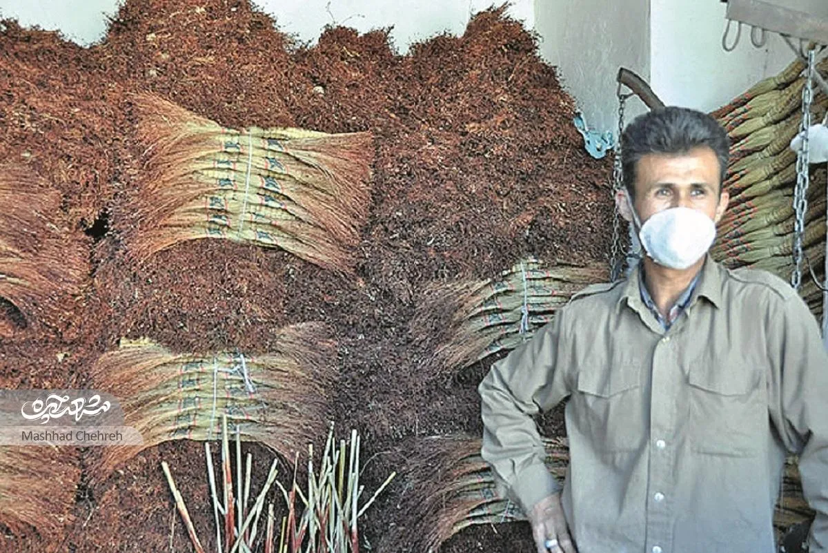 «نامی» بانی کشت جارو در محله مهرآباد مشهد شد