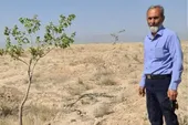باغبان گمنام مسیر هفت&zwnj;حوض