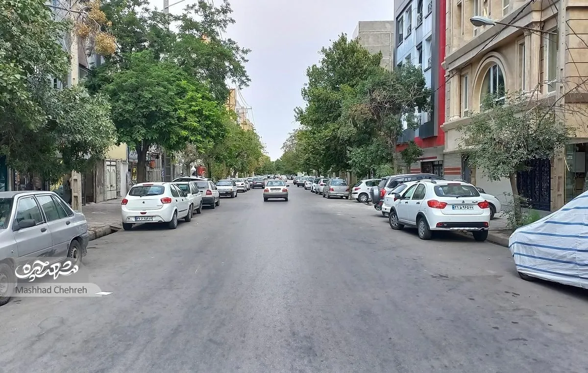 ردپای دیروز بر چهره کوچه مسلم شمالی‌۶