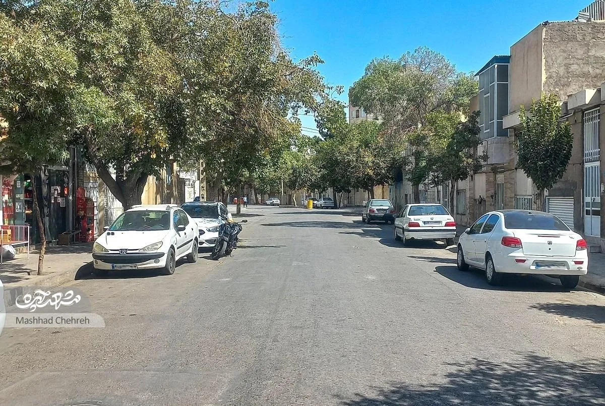 مسجد چهارده‌معصوم(ع) تکیه‌گاه کوچه شهیدآقایی است