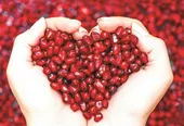 آداب و رسوم شب چله در مشهد