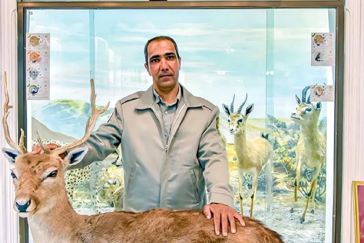 محیط بان - حسین مولایی