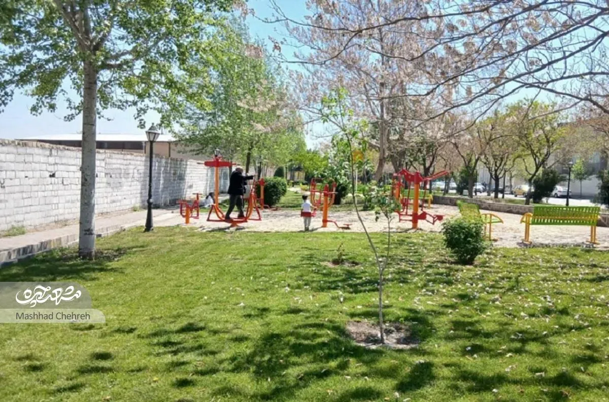 «ارکیده»؛ پاتوقی برای دورهمی اهالی استادیوسفی