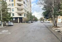گلخانه‌دارها از محله دانشجو رفتند، درخت‌هایشان ماند