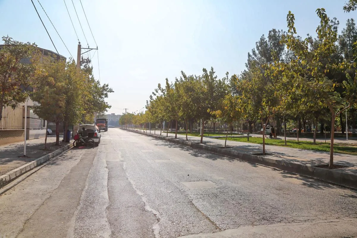 کوچه برادران شهید محسن‌زاده7 