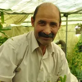 گلخانه هادی بوی دریا می&zwnj;دهد