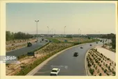 فهمیده؛ میدانی که تقاطع شد