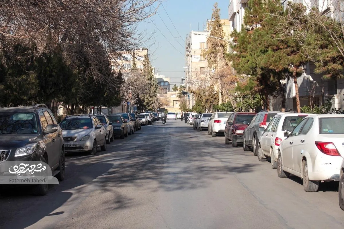 کوچه سرسبز «پرورش»