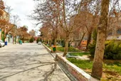 خیابان خانه&zwnj;های دویست&zwnj;دستگاه در محله شفا
