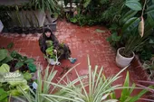 گلخانه زهرا خانم پاتوق نشر همدلی همسایه&zwnj;هاست