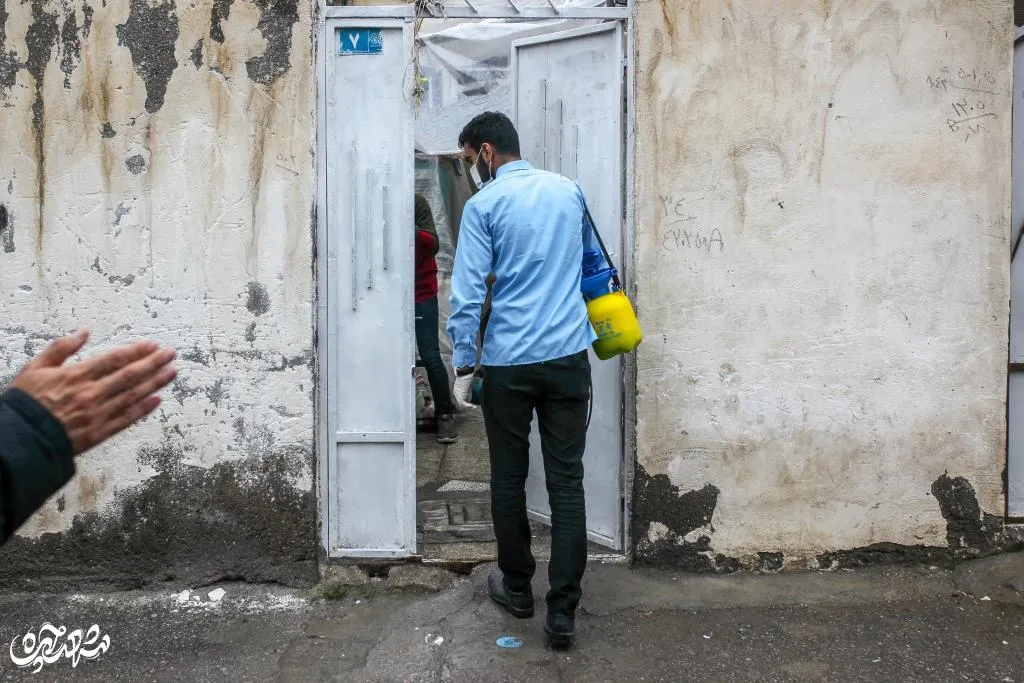 همیاری