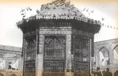 کبوتر&zwnj;ها کی به آستان حضرت رضا (ع) آمدند؟