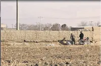 داستان زندگی ساقی شیشه که یک تصادف سر به راهش کرد