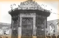 کبوتر‌ها کی به آستان حضرت رضا (ع) آمدند؟