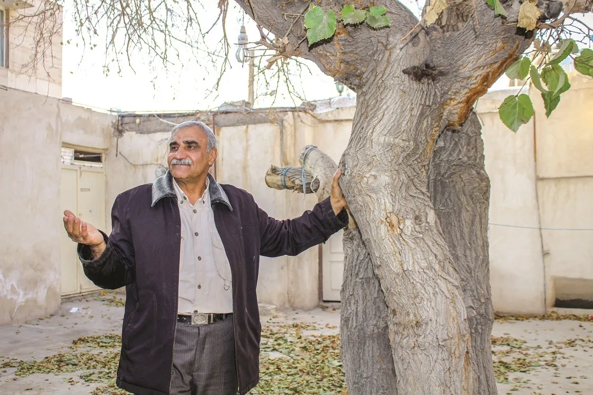 از زمستان سرد «جیگی‌جیگی» تا گرمی شب چله