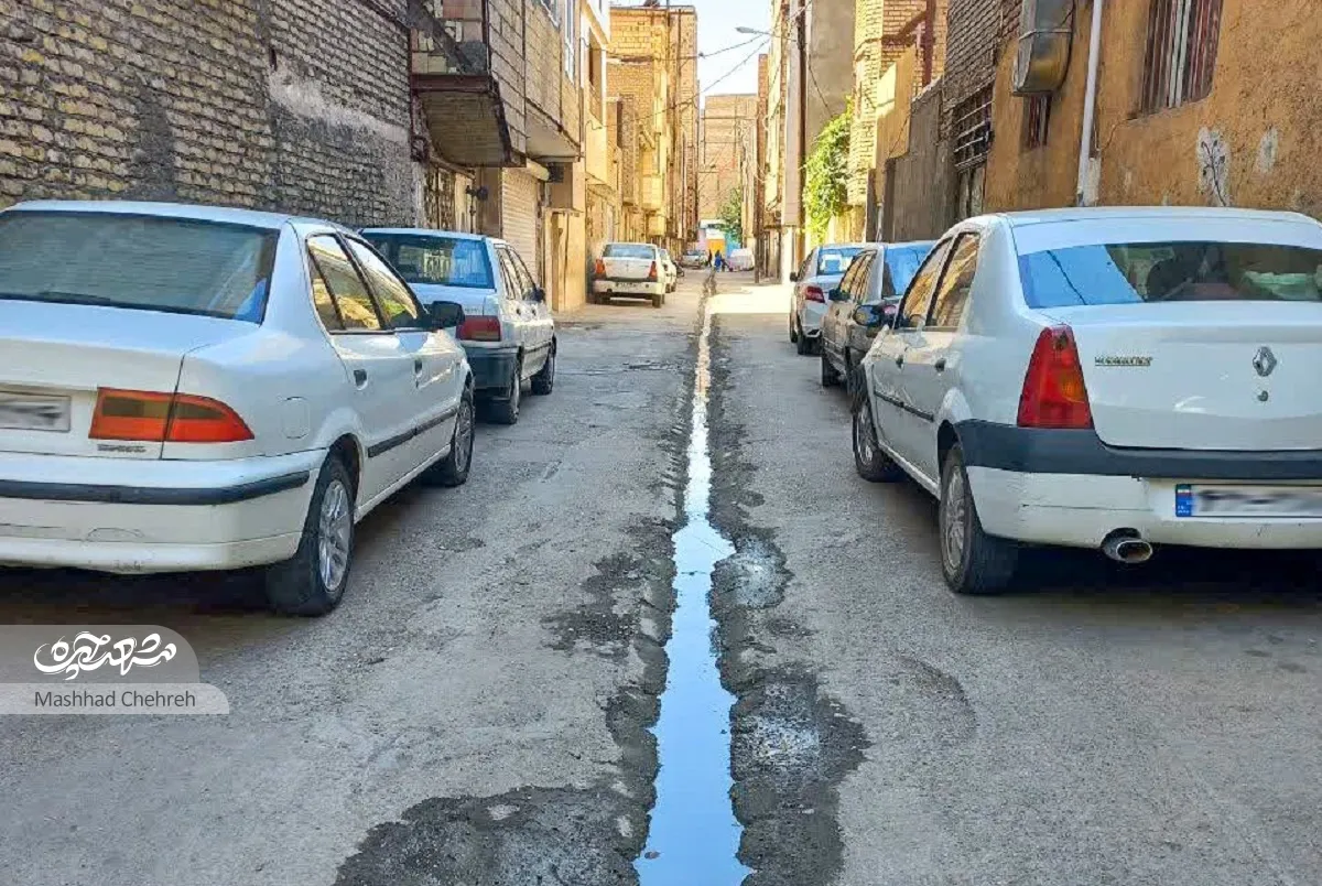 کوچه طبرسیشمالی۲۴ کوچه طبرسیشمالی۲۴