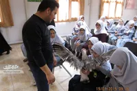 حفظ محیط زیست به سبک گروه «آوای طبیعت زاگرس»
