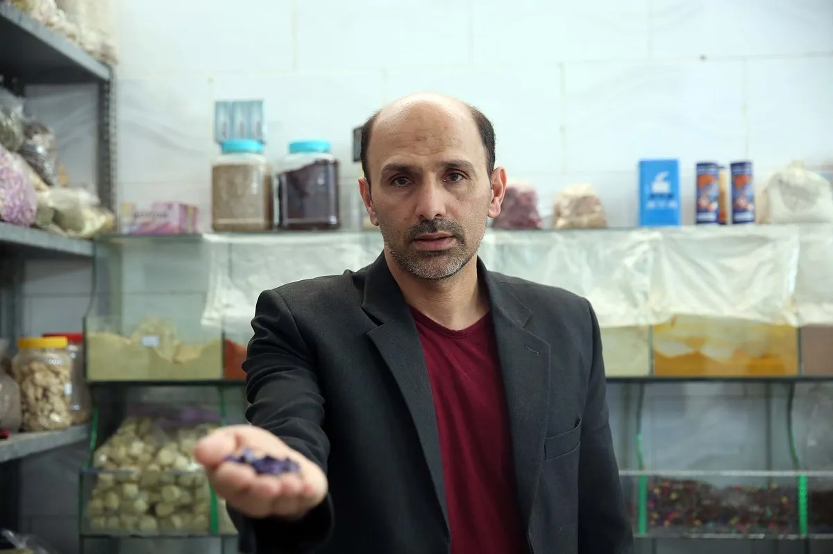 جستجوی درمان‌های گیاهی در قرآن و احادیث