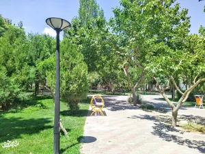 «مروارید» در انتظار روشنایی