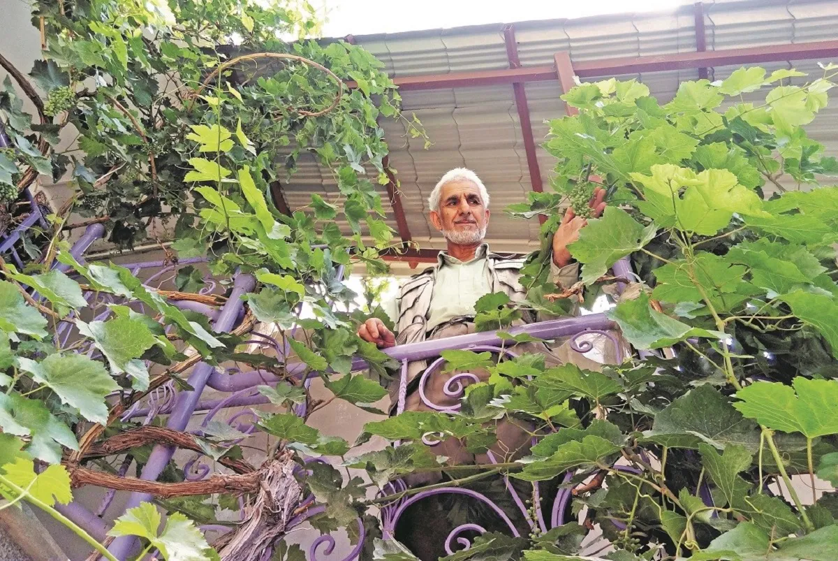 خلیل‌ا... نیازی بازنشسته جهادکشاورزی ساکن محله مهدی‌آباد