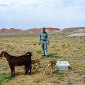 به عشق آهوی خراسانی 