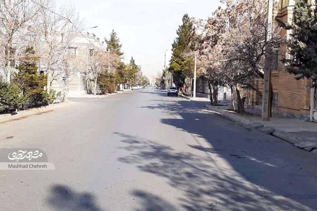پاتوق فرهنگی محله شاهد