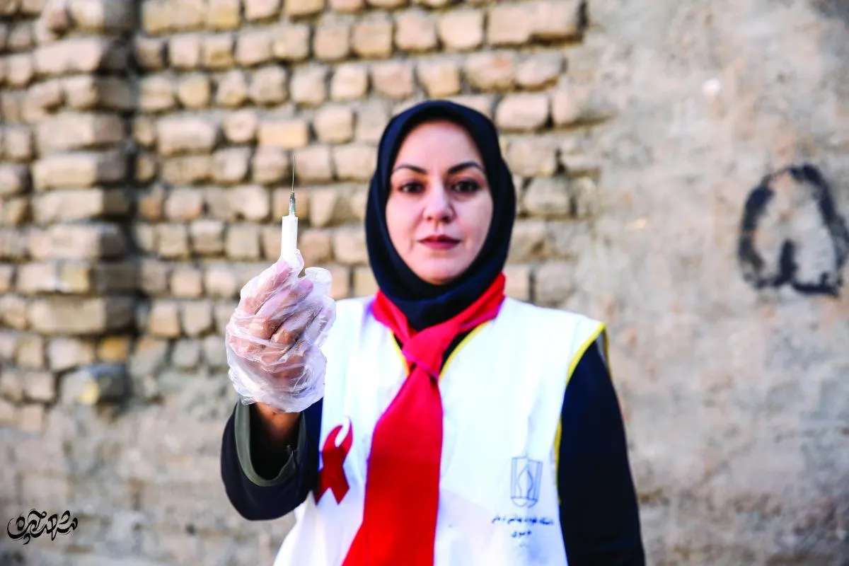 NN_T5206