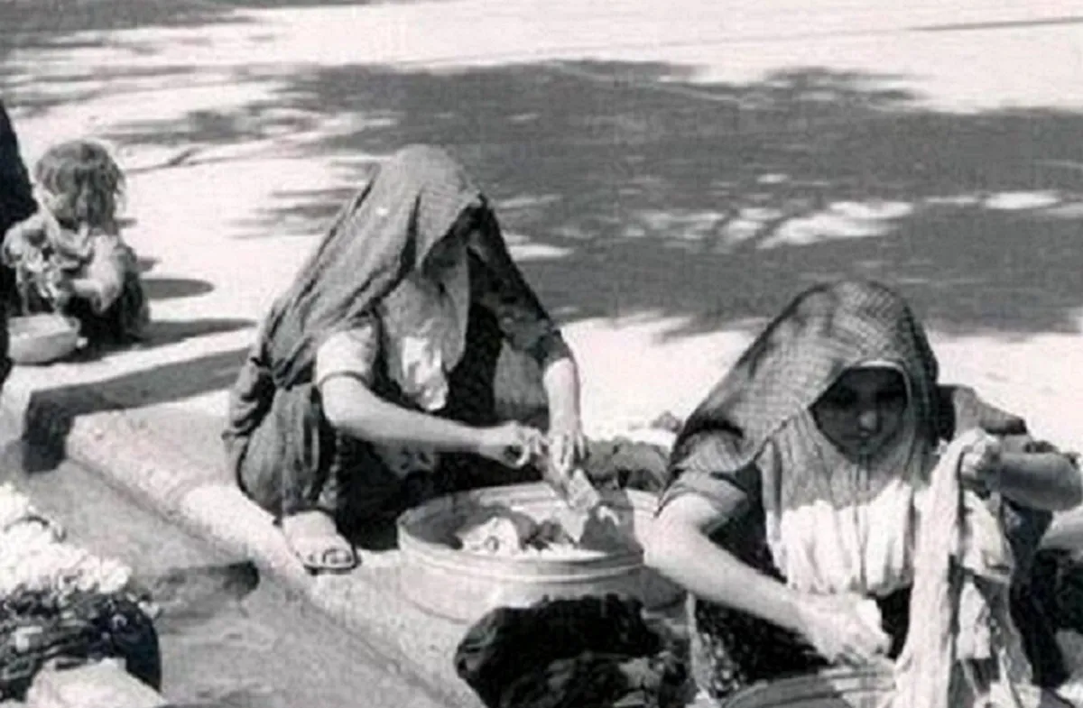 بیماری بیماری