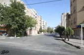 کوچه اهالی فرهنگ و نظم