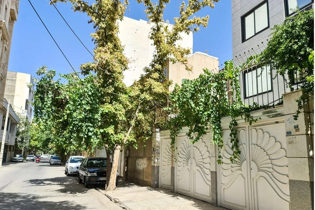 کوچه‌ای شصت ساله با درختان انگور