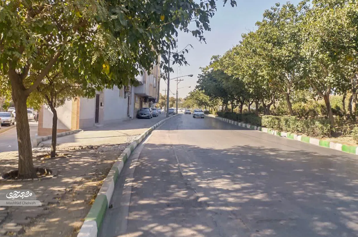 جواد قربانی جواد قربانی