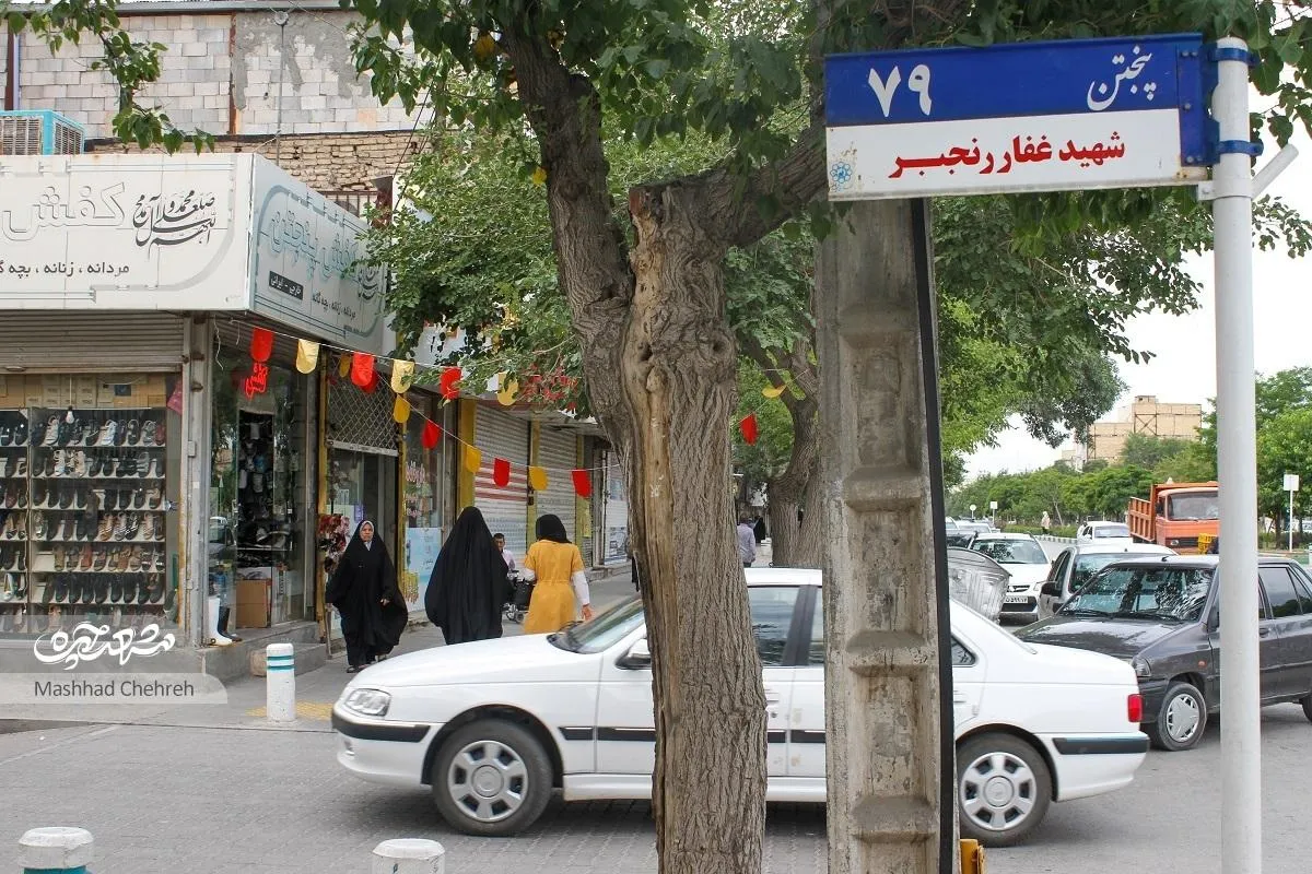 یاد شهدا در این کوچه سرسبز، سبز است