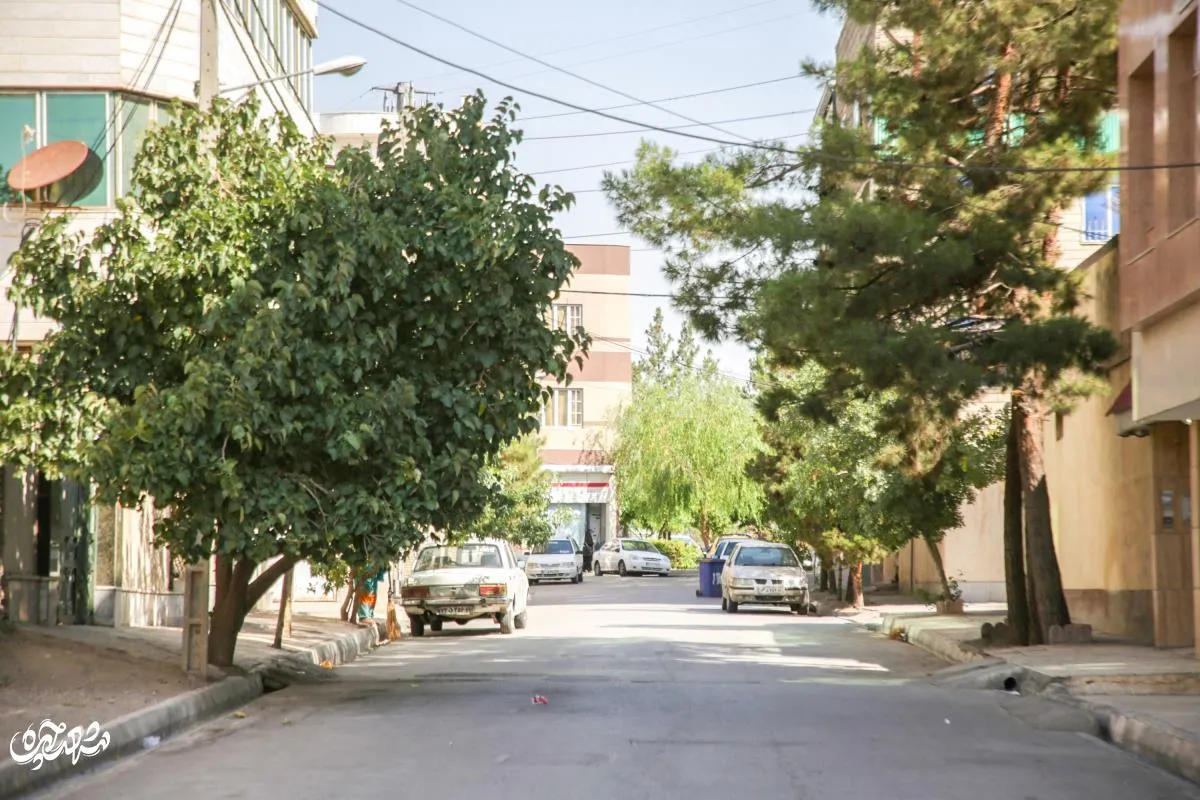 عکس بزرگ بالای صفحه
