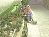درآمدزایی با پرورش گل&zwnj;های آپارتمانی