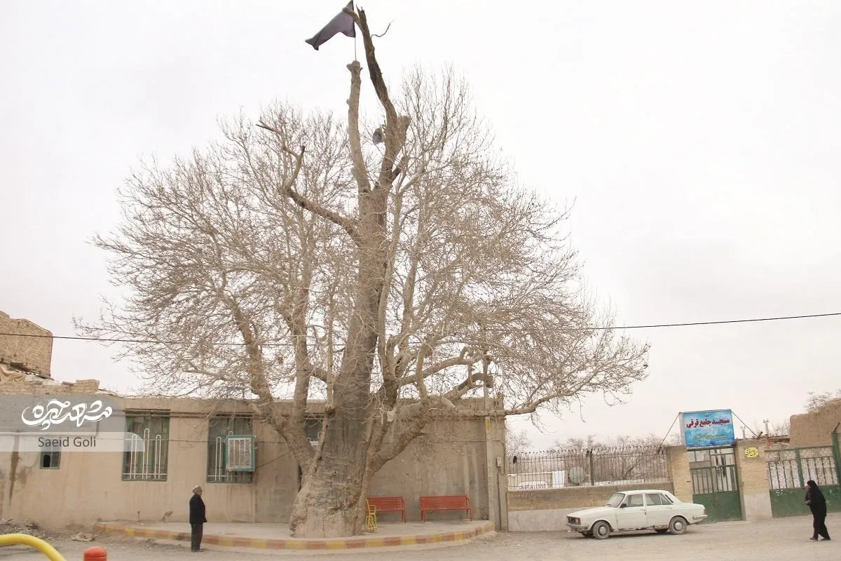 برج و باروی قرقی چندصدسال محافظ اهالی بود
